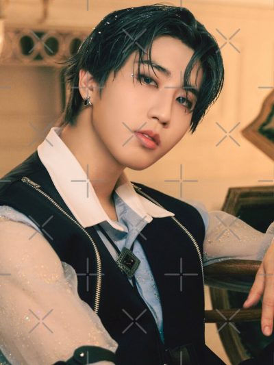 flat750x075f pad750x1000f8f8f8 33 - Stray Kids Gifts
