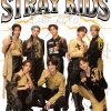 flat750x075f pad750x1000f8f8f8 37 - Stray Kids Gifts