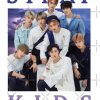 flat750x075f pad750x1000f8f8f8 39 - Stray Kids Gifts