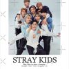 flat750x075f pad750x1000f8f8f8.u15 30 - Stray Kids Gifts