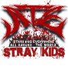 flat750x075f pad750x1000f8f8f8.u2 30 - Stray Kids Gifts