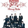 flat750x075f pad750x1000f8f8f8.u2 38 - Stray Kids Gifts