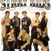 flat750x075f pad750x750f8f8f8 17 - Stray Kids Gifts