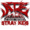 flat750x075f pad750x750f8f8f8 23 - Stray Kids Gifts