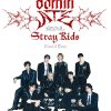 flat750x075f pad750x750f8f8f8 9 - Stray Kids Gifts