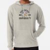 ssrcolightweight hoodiemensoatmeal heatherfrontsquare productx1000 bgf8f8f8 17 - Stray Kids Gifts