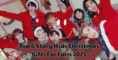 Top 6 Stary Kids Christmas Gifts For Fans 2025 - Stray Kids Gifts