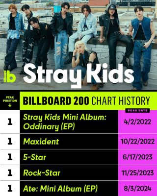 453273835 1427496067948538 844159734803804308 n - Stray Kids Gifts